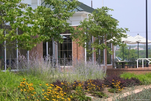 Hilton Garden Inn Kent Island